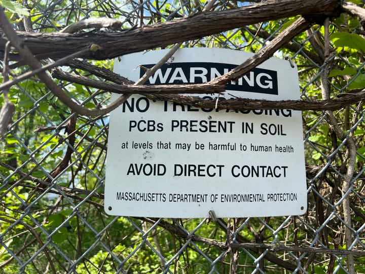 THE ARGUS EYE: A long-overdue D.P.H. report on PCBs and cancer delivers no surprises